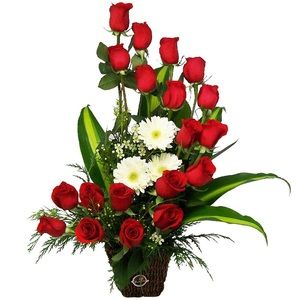 Meet your Posher, Claudia