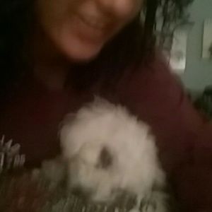 Meet your Posher, Dalisa