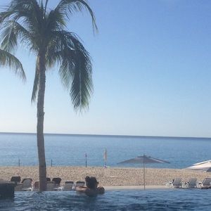 Meet your Posher, Bailey