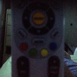 Meet your Posher, Tamara