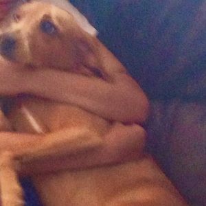 Meet your Posher, Benny