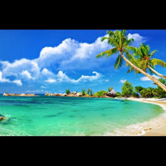 Meet your Posher, Leane - Picture 1 of 1