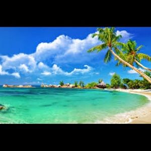 Meet your Posher, Leane