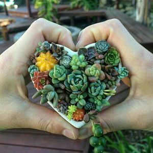 Meet your Posher, Fiona