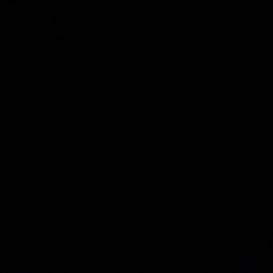 Meet your Posher, Therese