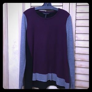 BCBGMAXAZRIA color block sweater (worn just once)
