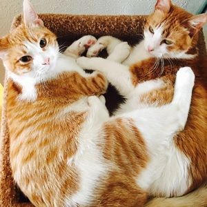 Meet your Posher, Kristina