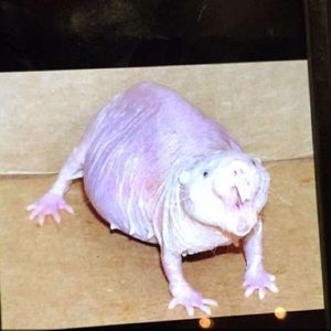 Meet your Posher, Kelley