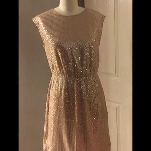 J. Crew cap sleeve sequin dress