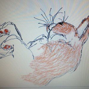 Meet your Posher, Gail