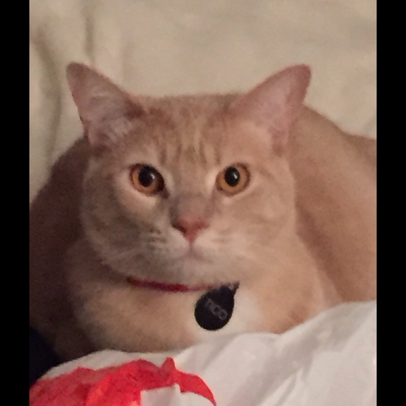 Meet your Posher, Gina