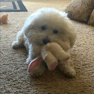 Meet your Posher, Danielle