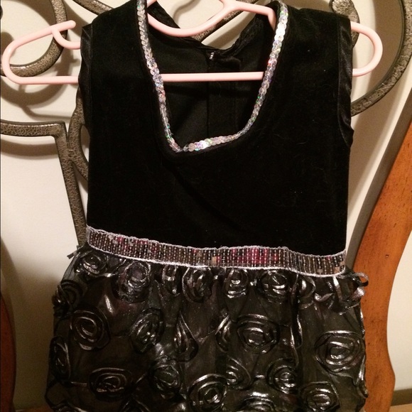 Fur baby Belle of the Ball Dress