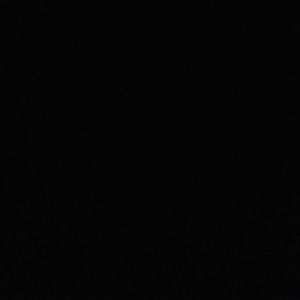 Meet your Posher, Shanice