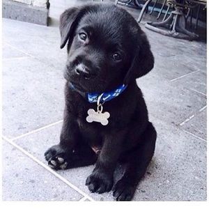 Meet your Posher, Chloee