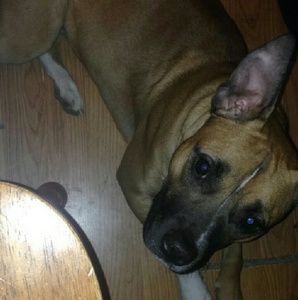 Meet your Posher, Lila