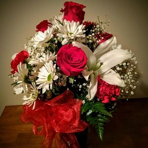 Meet your Posher, Sonya