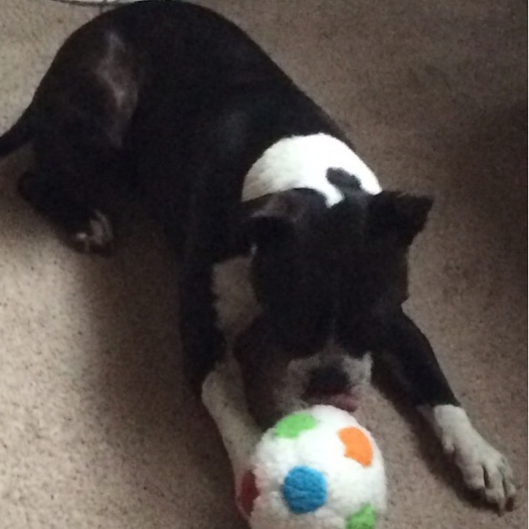 Meet your Posher, Michaela - Picture 2 of 2