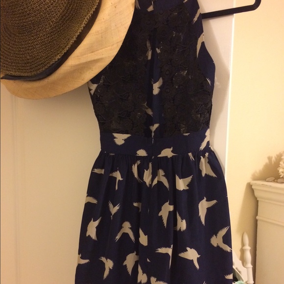 Adorable bird print dress with black lace!