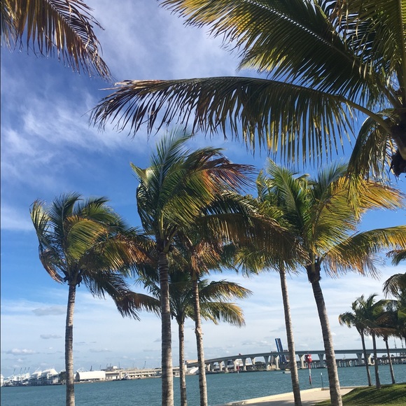 Meet your Posher, Melissa - Picture 2 of 2