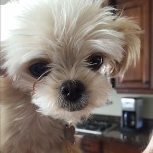 Meet your Posher, Katelyn