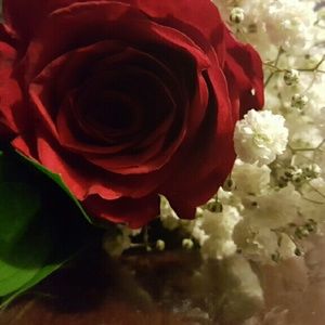 Meet your Posher, Lucy