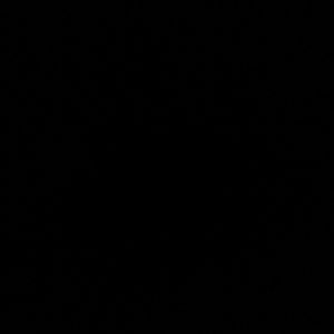 Meet your Posher, Vicky