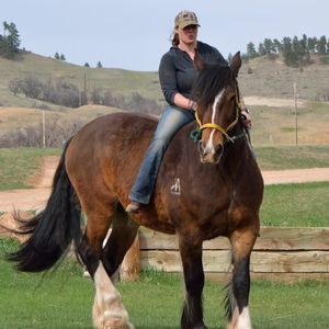 Meet your Posher, Kelley