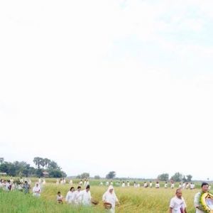 Meet your Posher, Eva