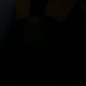 Meet your Posher, Bee