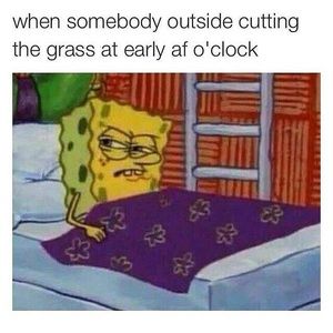 Meet your Posher, Ana