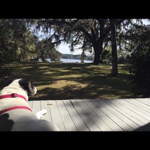 Meet your Posher, Sasha