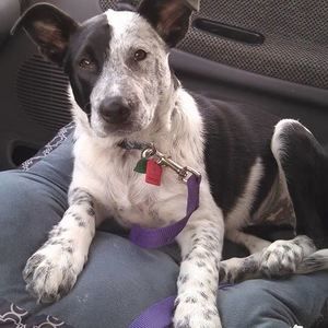 Meet your Posher, Jacqueline