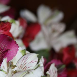 Meet your Posher, Chrissy