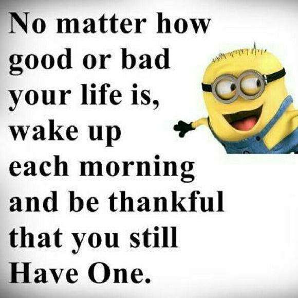 Just because.... - Picture 4 of 4