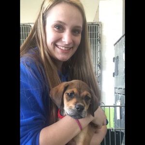 Meet your Posher, Karley