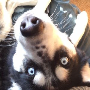 Meet your Posher, Elise