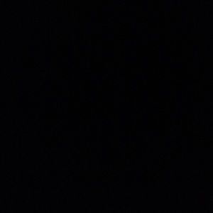 Meet your Posher, Joey