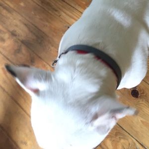 Meet your Posher, Beth