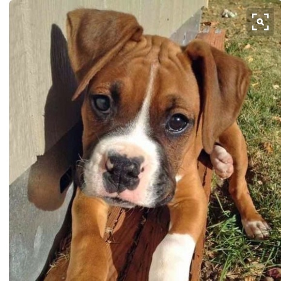 Meet your Posher, Hanah