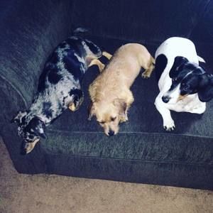 Meet your Posher, Summer