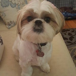 Meet your Posher, Jill