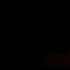 Meet your Posher, Terry