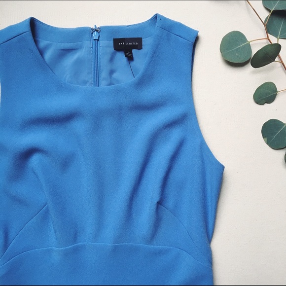 The Limited Dress - Picture 2 of 4