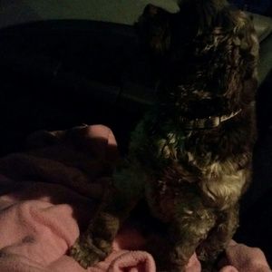 Meet your Posher, Kristen