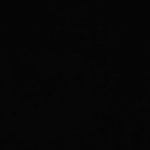 Meet your Posher, Antoine