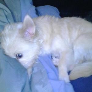 Meet your Posher, Soleetah