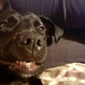 Meet your Posher, Bridget