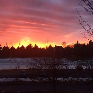 Meet your Posher, Elena