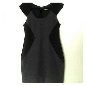 Express Side Panel Color Block Dress